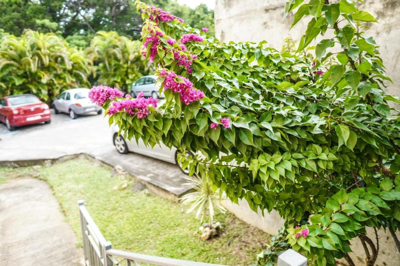 Color Garden - Studio Martinique Сент-Анн Экстерьер фото
