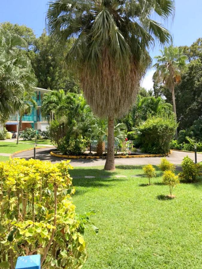 Color Garden - Studio Martinique Сент-Анн Экстерьер фото