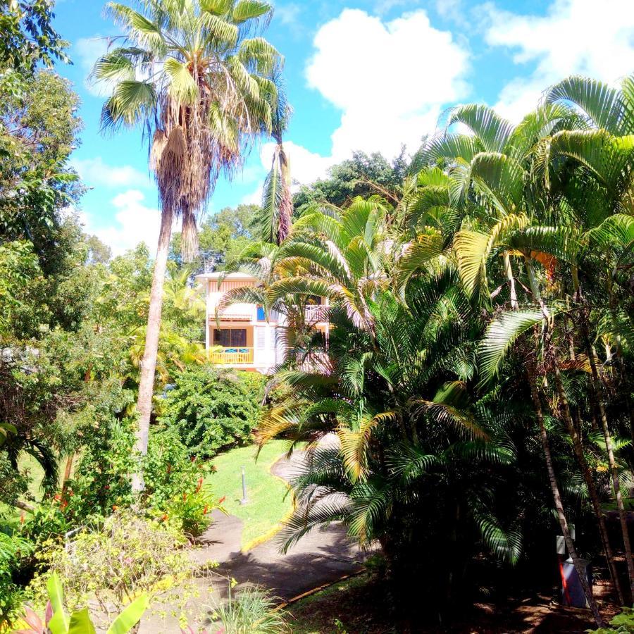 Color Garden - Studio Martinique Сент-Анн Экстерьер фото