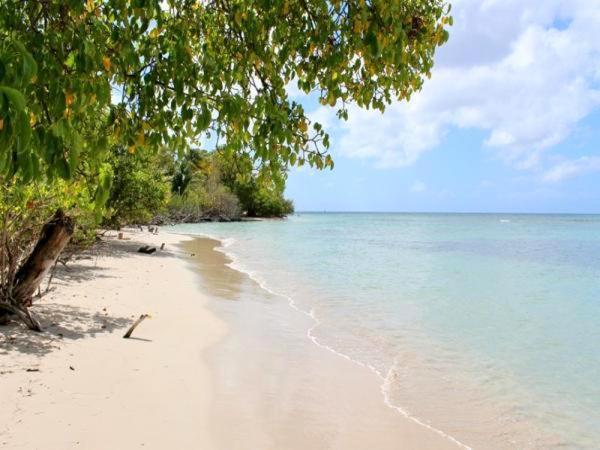 Color Garden - Studio Martinique Сент-Анн Экстерьер фото